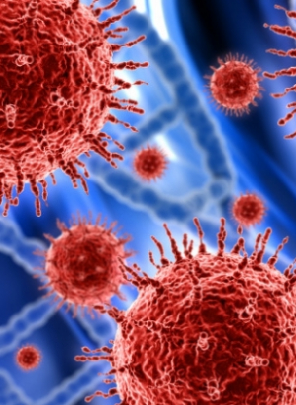 Seletroar suspende atendimento até 8 de março